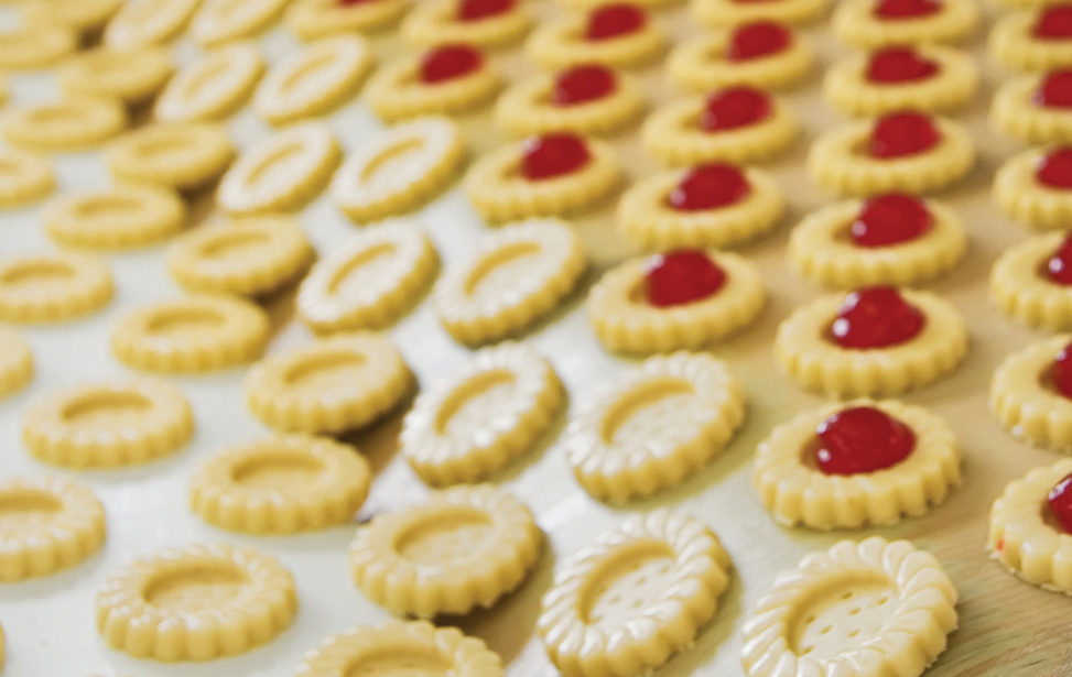 Cookie Food Conveyor