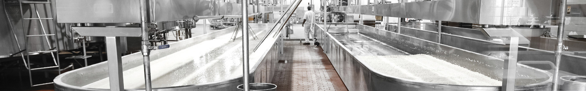 Dairy